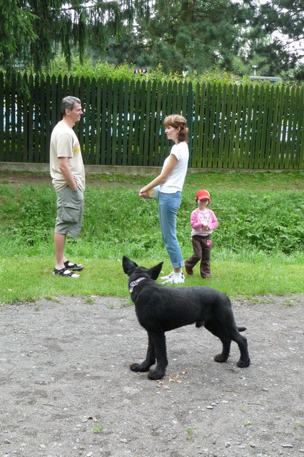 Na kliknut zave okno