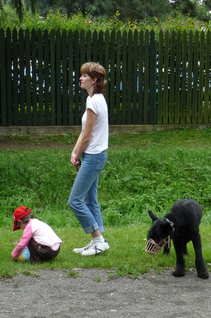 Na kliknut zave okno