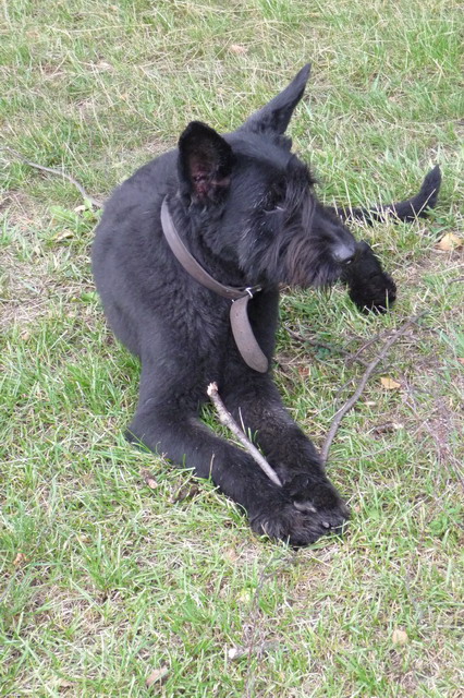 Na kliknut zave okno