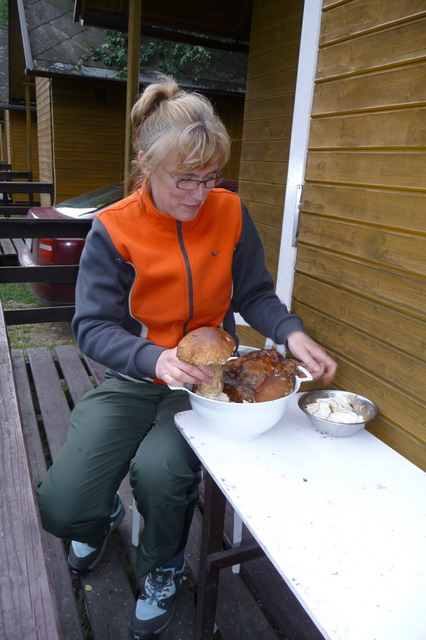 Na kliknut zave okno