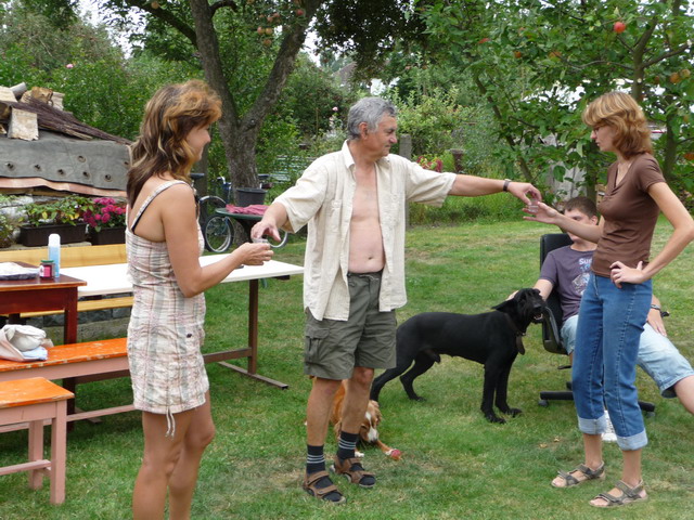 Na kliknut zave okno