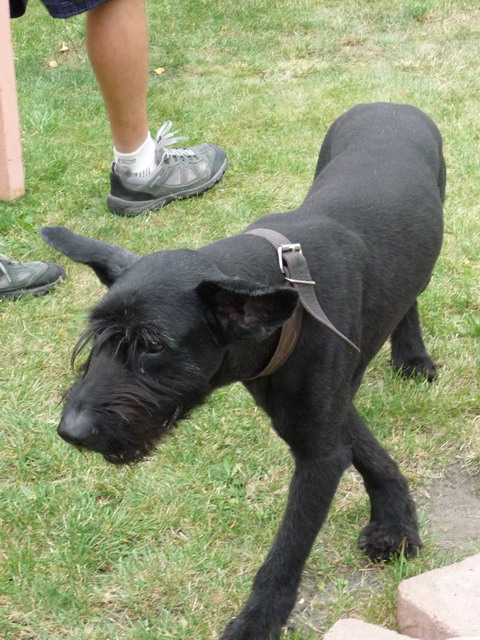 Na kliknut zave okno