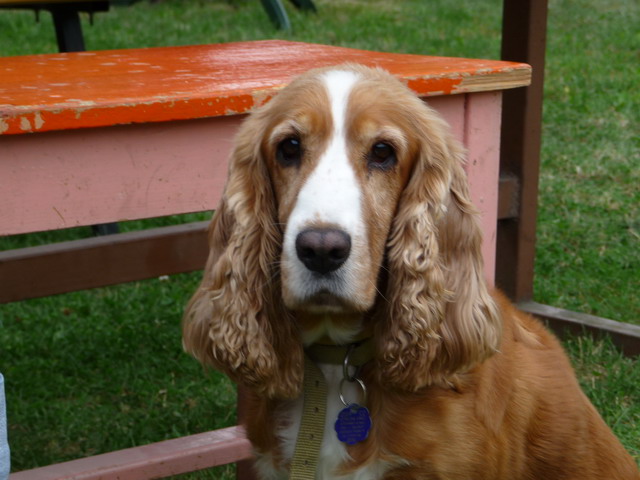 Na kliknut zave okno