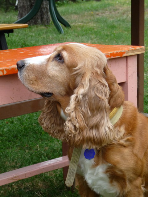 Na kliknut zave okno