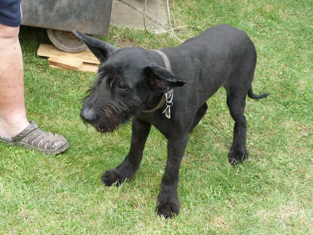 Na kliknut zave okno