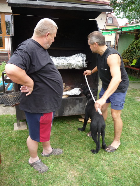 Na kliknut zave okno