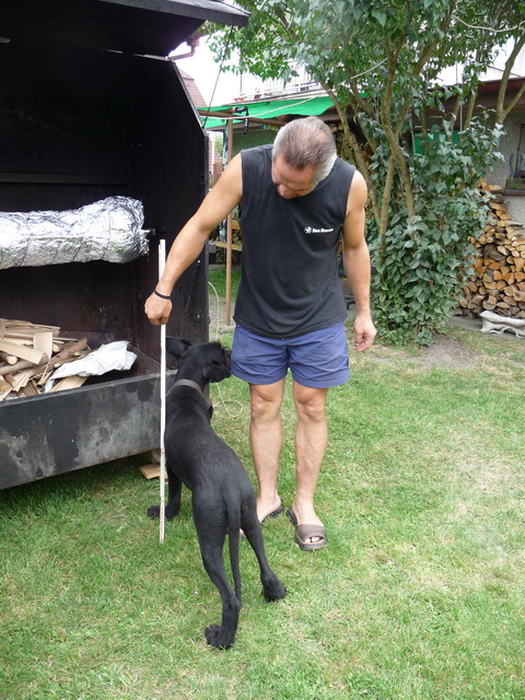 Na kliknut zave okno