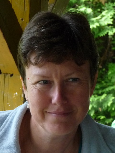 Na kliknut zave okno