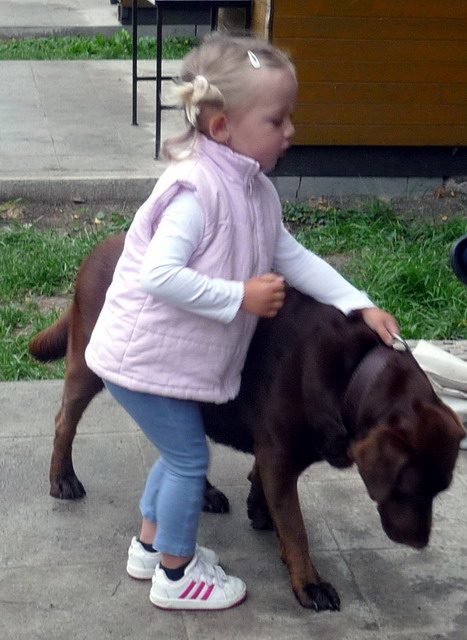 Na kliknut zave okno