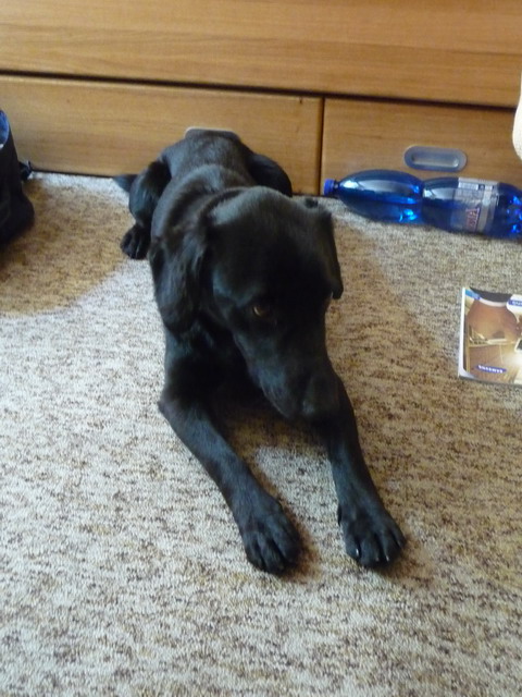 Na kliknut zave okno