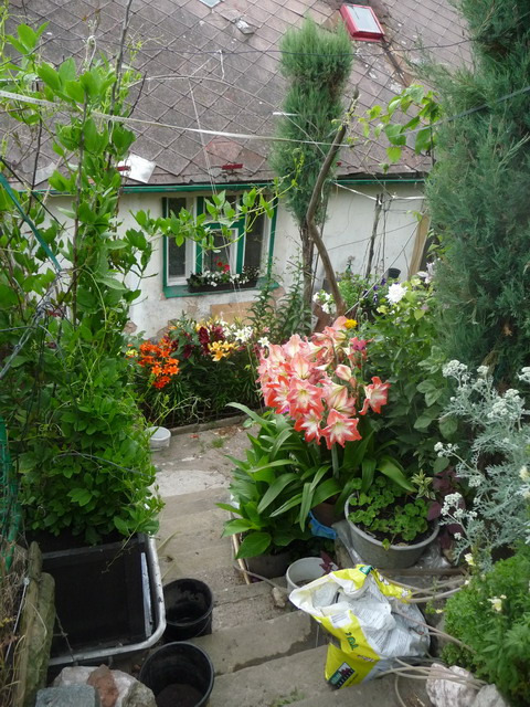 Na kliknut zave okno