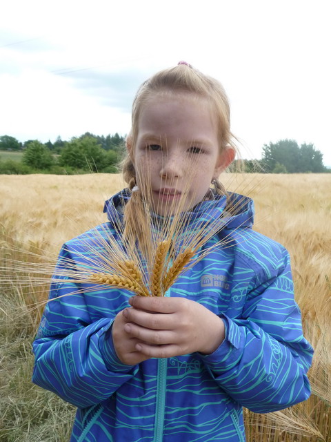 Na kliknut zave okno