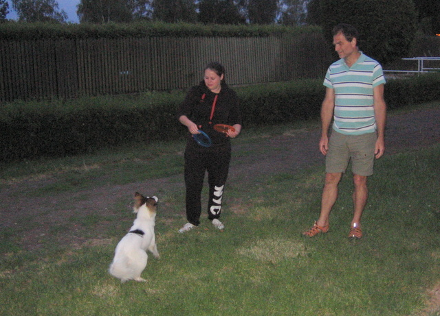 Na kliknut zave okno