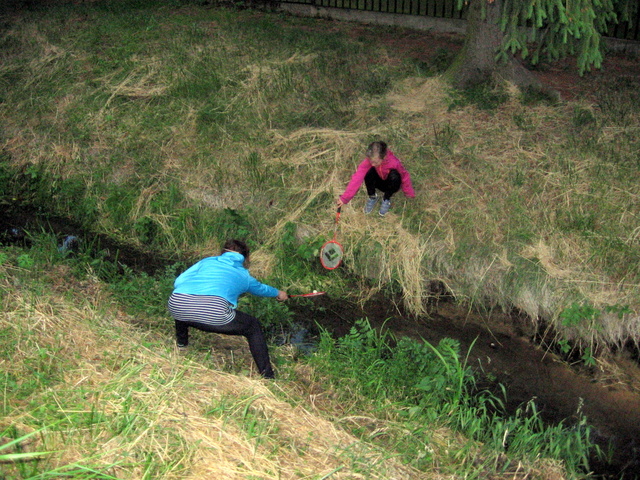 Na kliknut zave okno